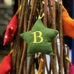 ÉTOILE DE NOËL