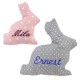 Coussin lapin personnalisable