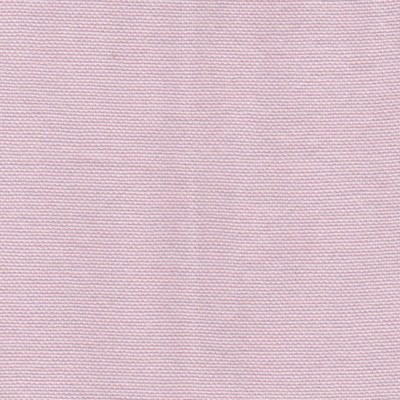 Rose pâle