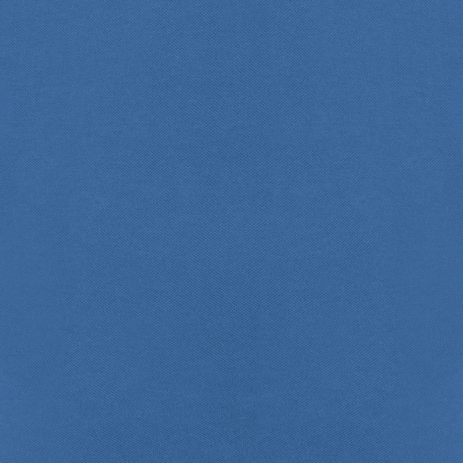 Bleu roi